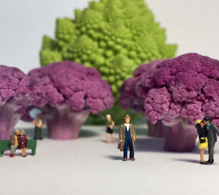 Miniature people